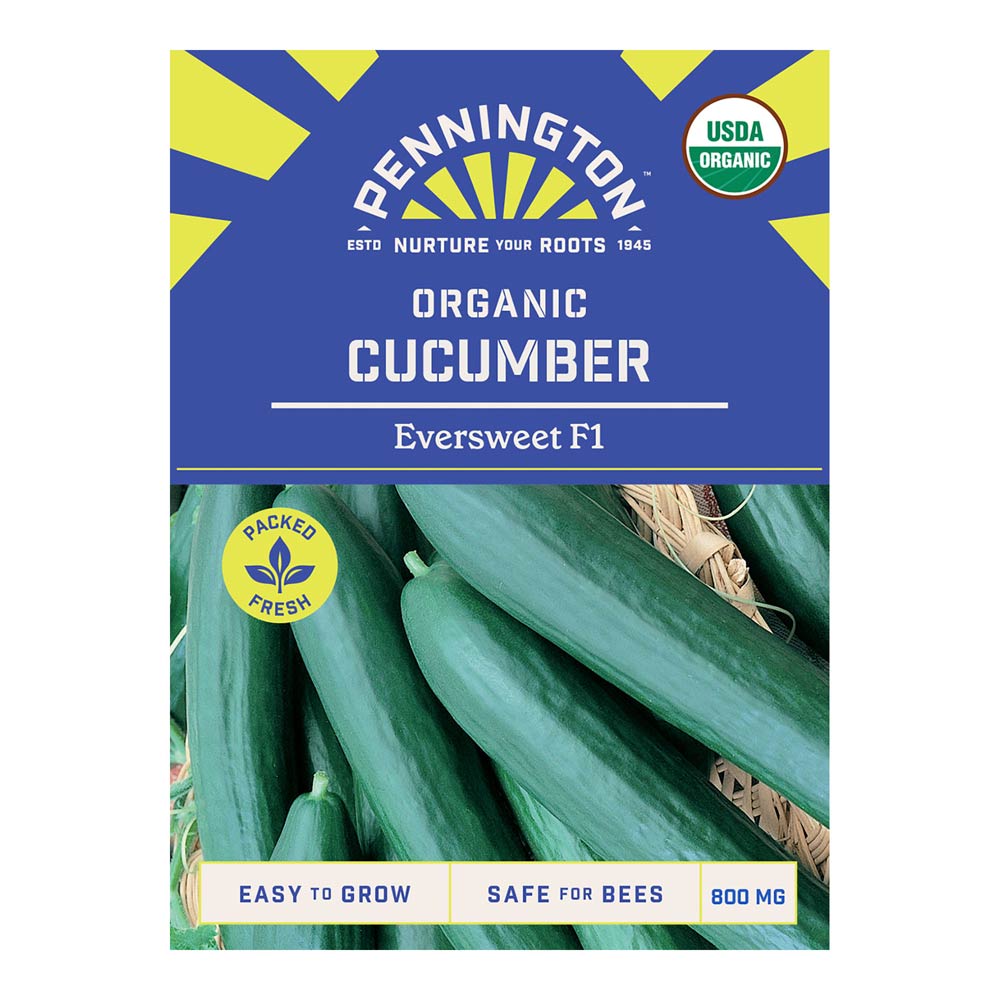 Pennington_8416_ORG_Cucumber_EversweetF1_front