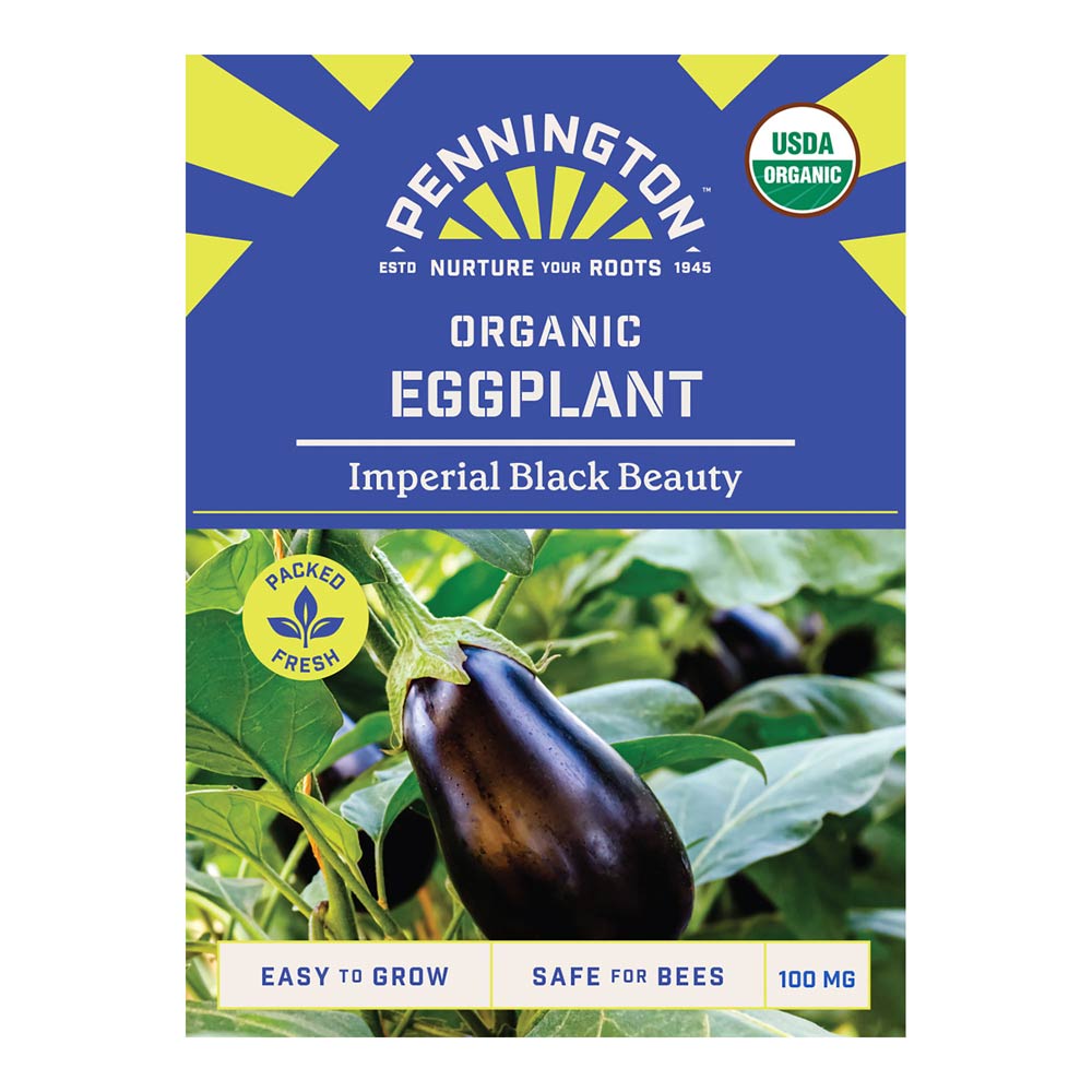 Pennington_9710_ORG_Eggplant_ImperialBlackBeauty_front