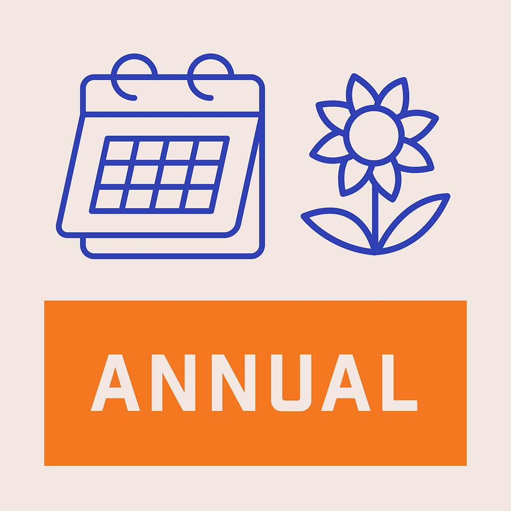 Annual-Alt-Image-1