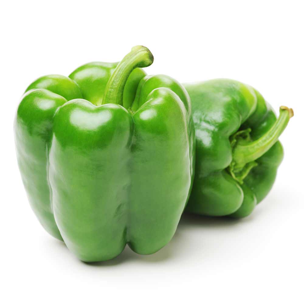 Bette-Belle-IV-Sweet-Pepper