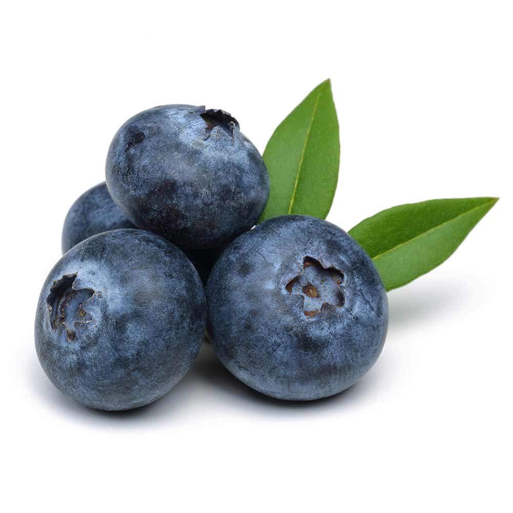 Blueberry-Patriot-Jersey