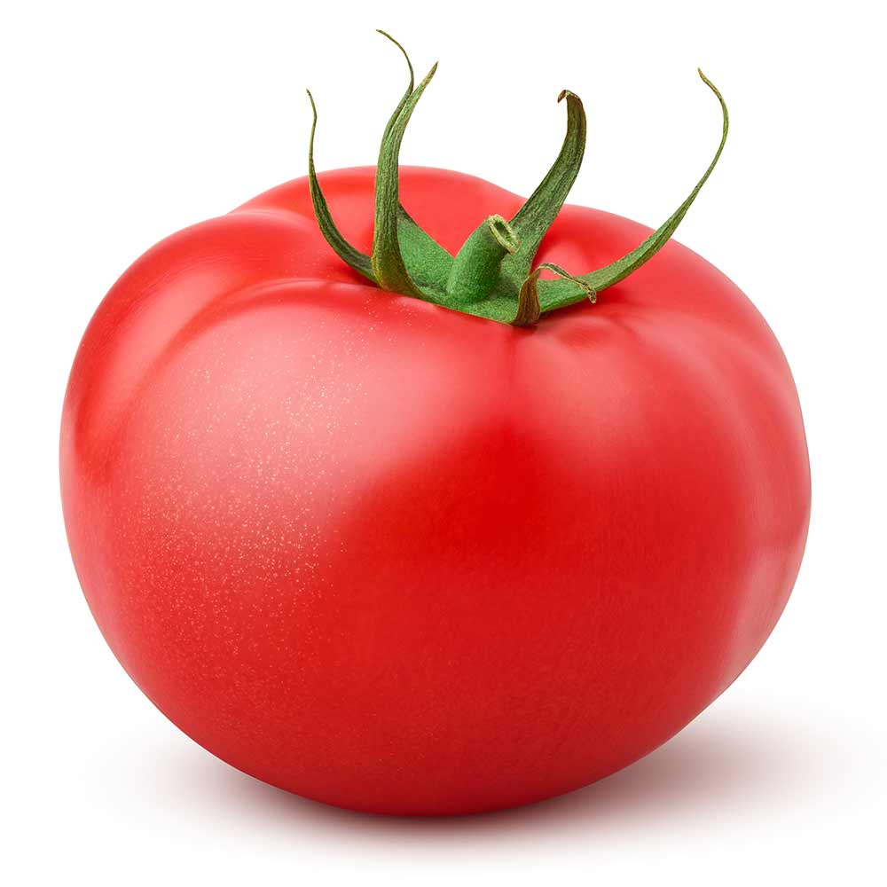 Celebrity-Tomato