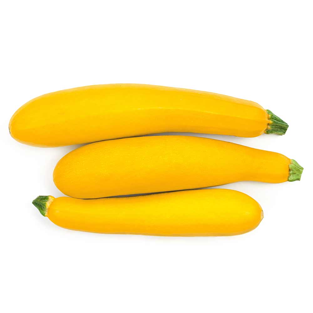 Golden-Squash