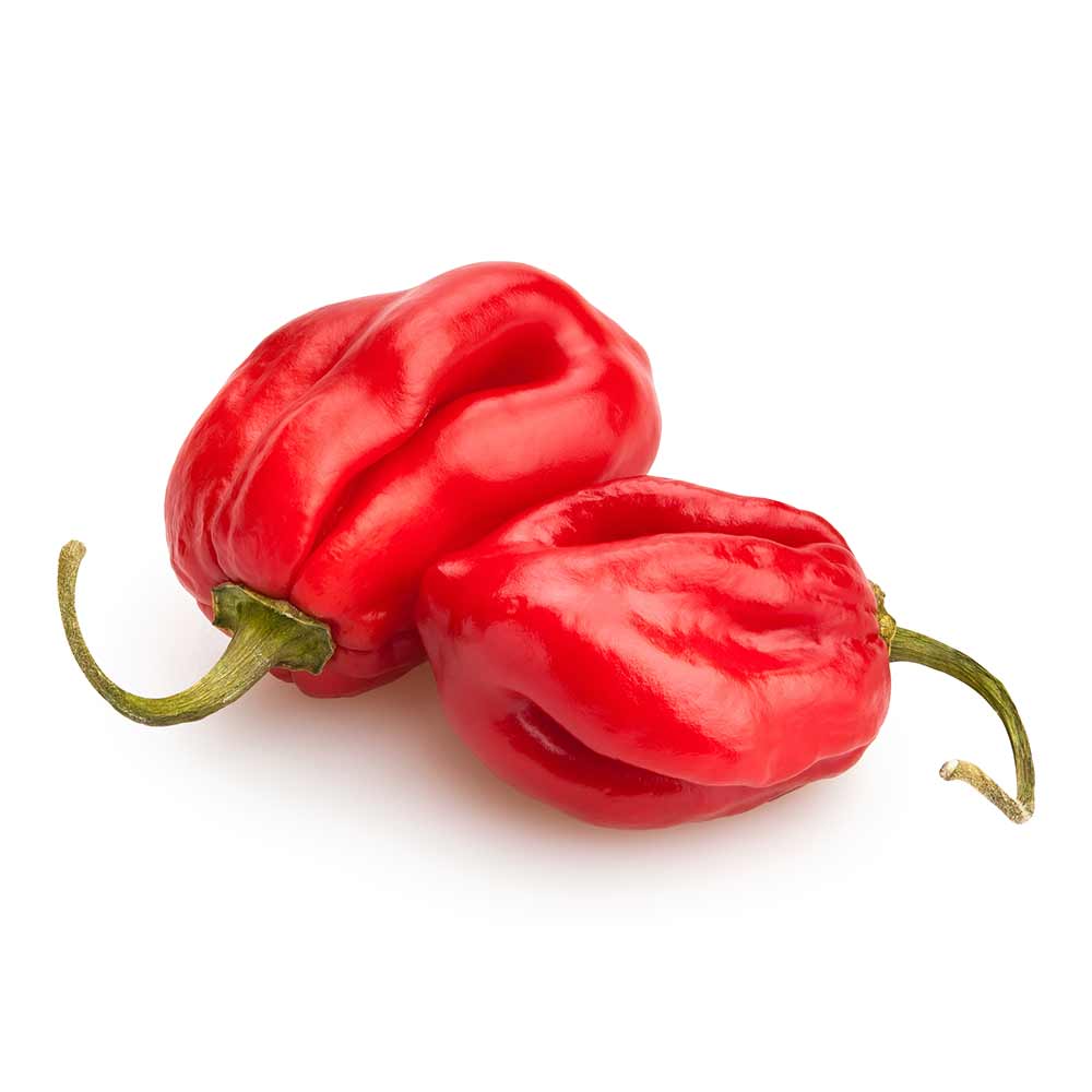 Habanero-Red-Hot-Pepper
