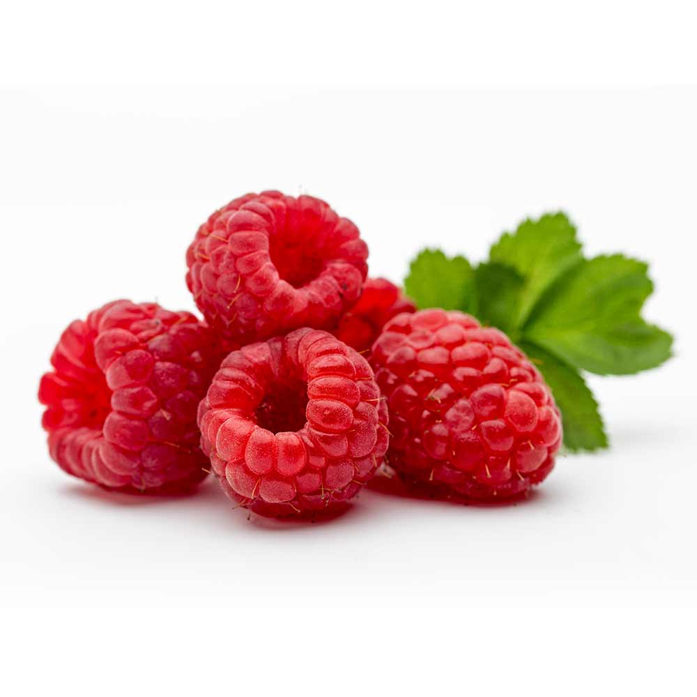 Raspberry-Boyne-Kokanee-Tulameen