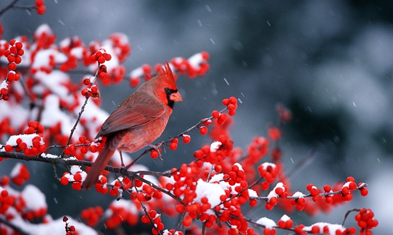 building on biodiversity and enjoying it