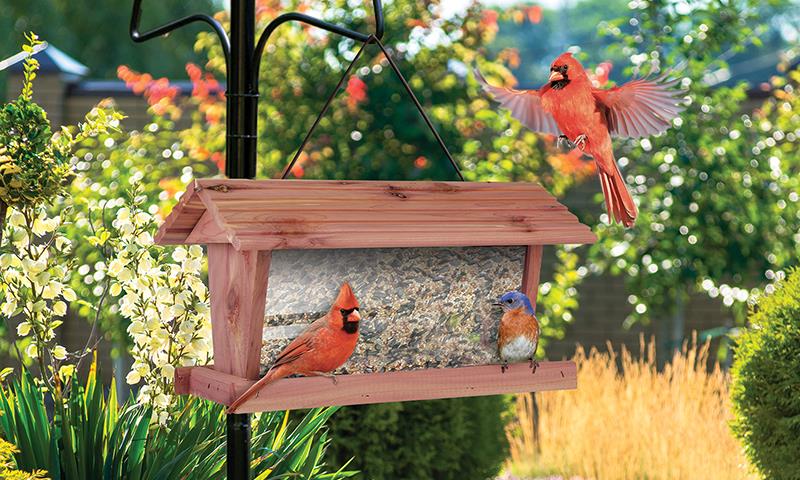 enhancing biodiversity around your home