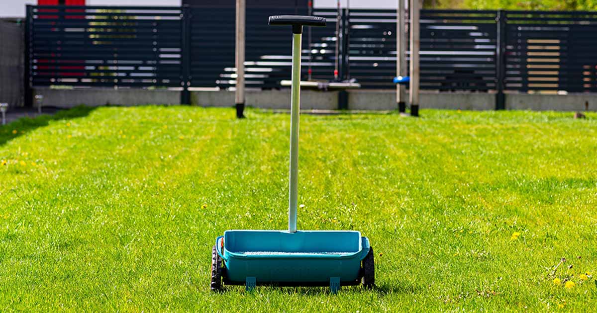 Lawn spreader in the middle of a fenced lawn is ready for fertilizer.