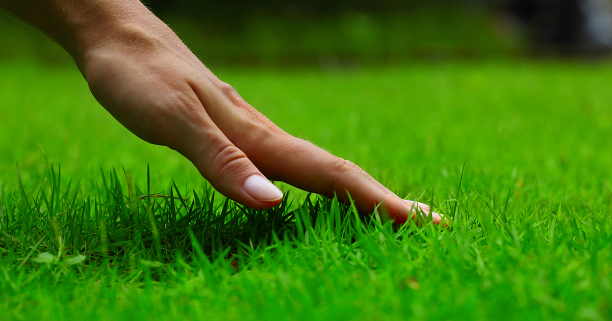 Choosing the right fertilizer for your yard is easy with Pennington Full Season lawn products.