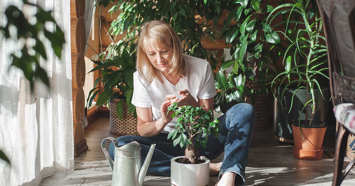 Barefoot woman tending to indoor plants. 
