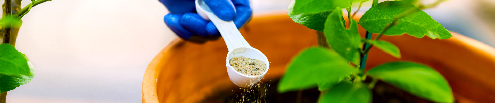 plant-food_header_1920x400