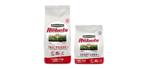Pennington The Rebels grass seed