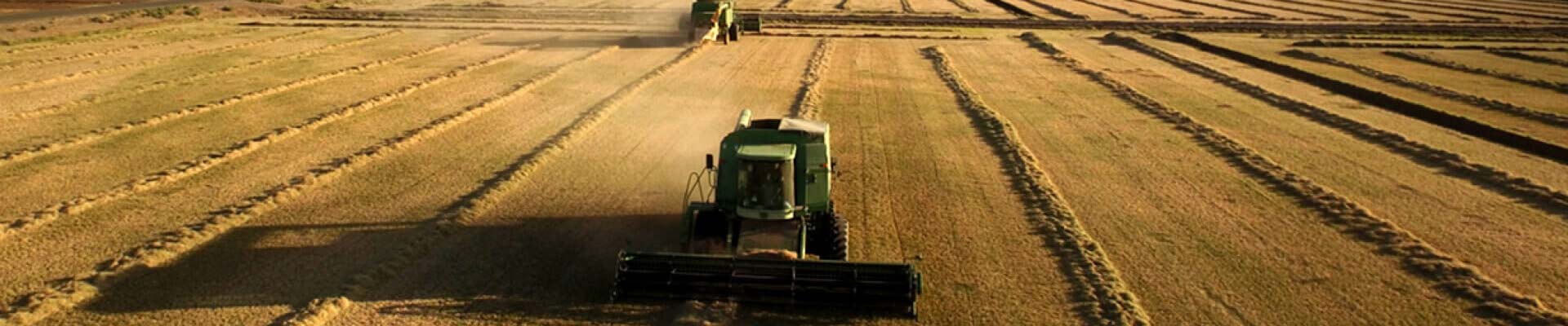agriculture