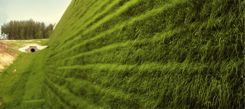 Pennington grass seed blanket cheap