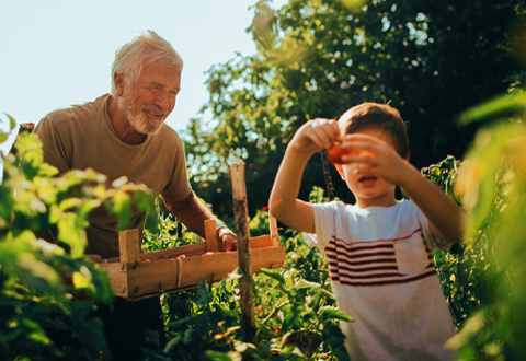 FertResources-mobile