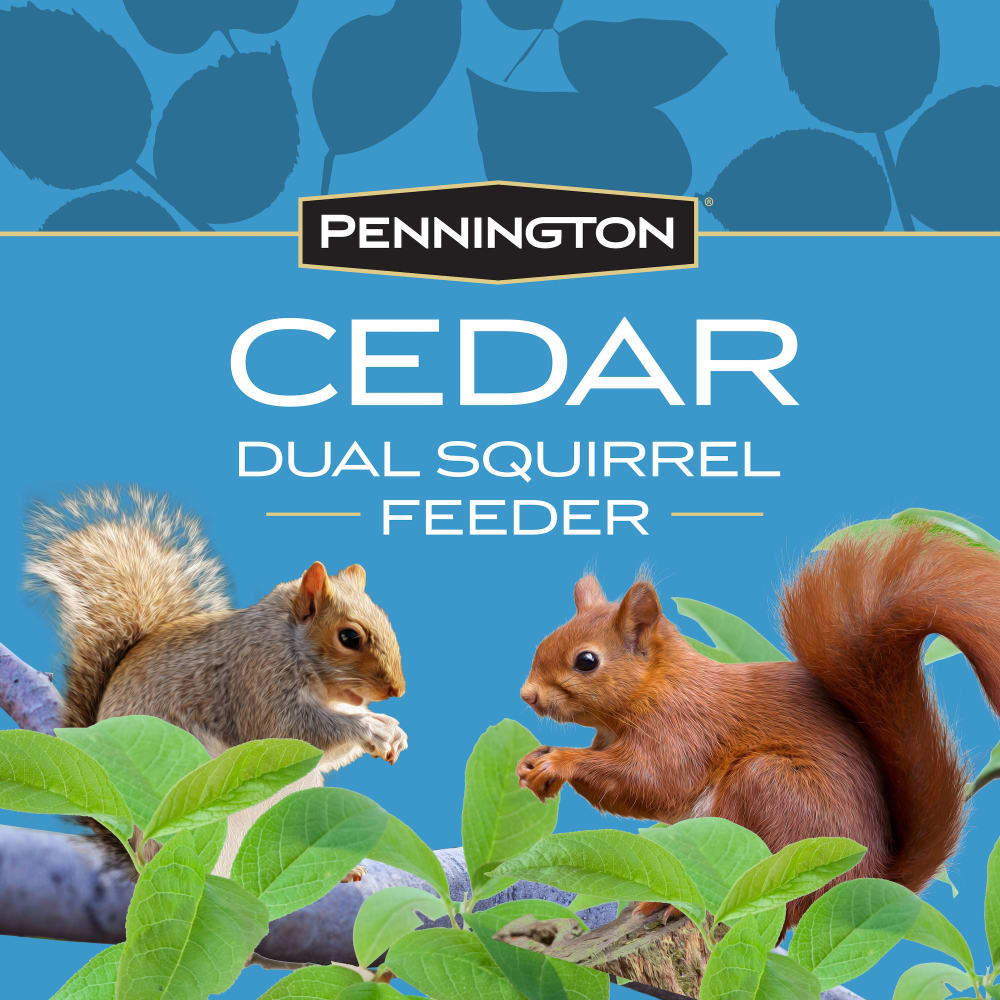 dg613-pe-100541013-cedar-dual-squirrel-feeder-alt-images-03
