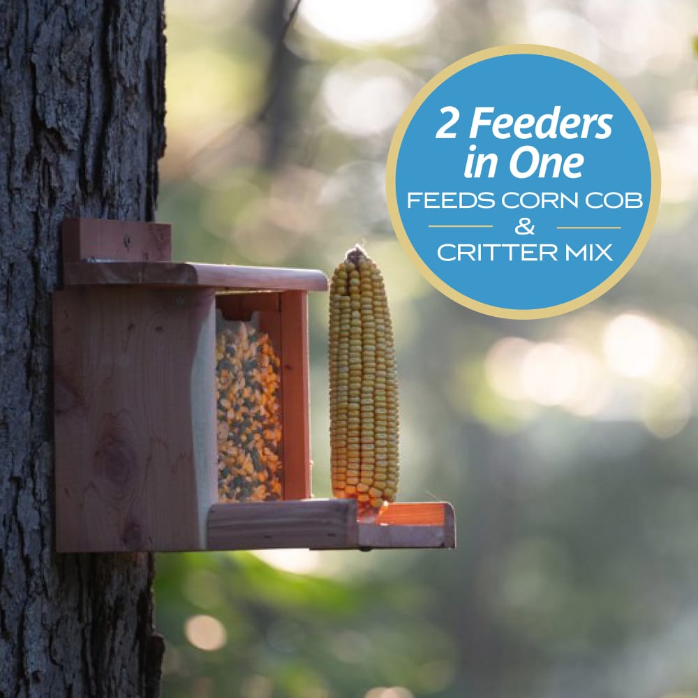 dg613-pe-100541013-cedar-dual-squirrel-feeder-alt-images-06
