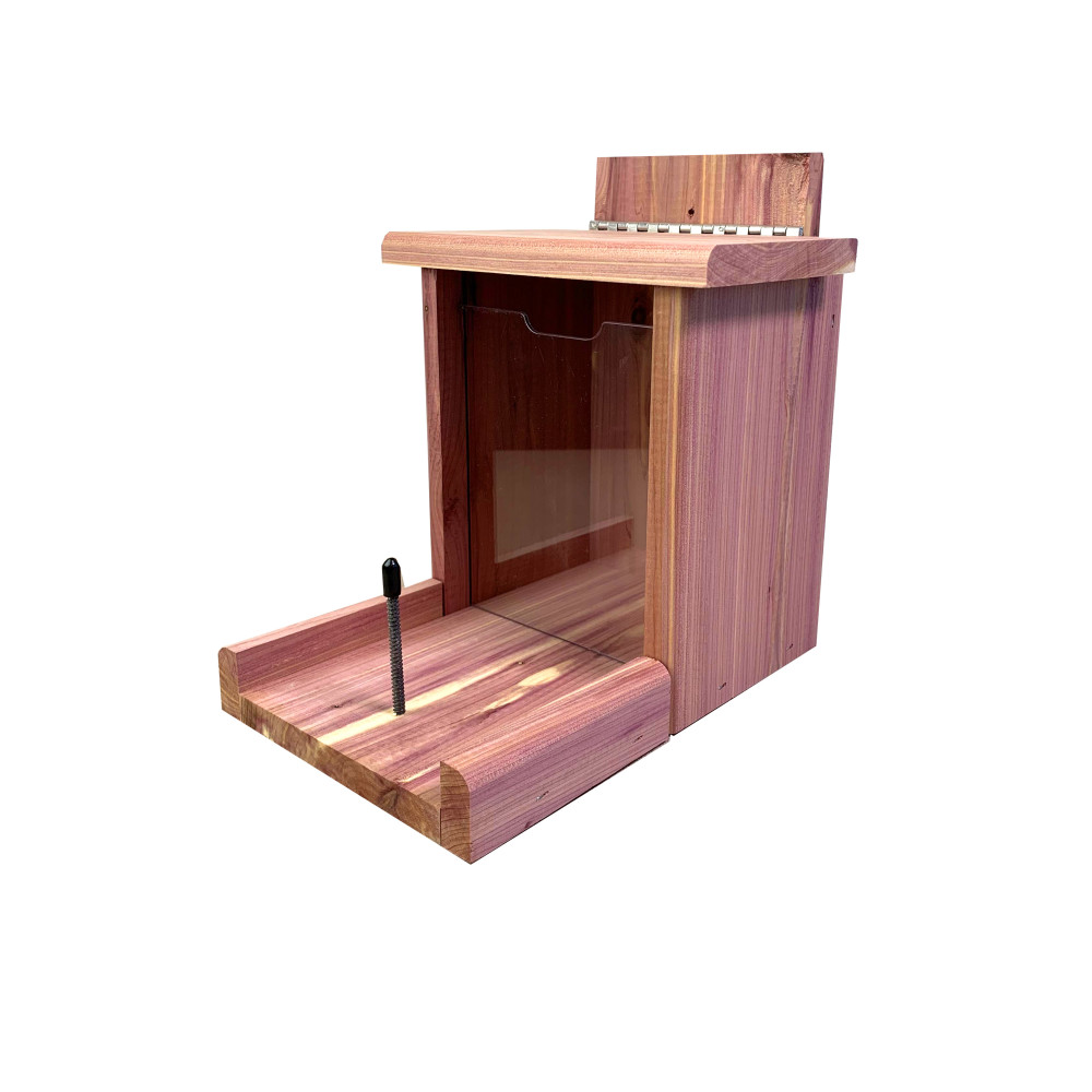 dual-squirrel-feeder-cutout