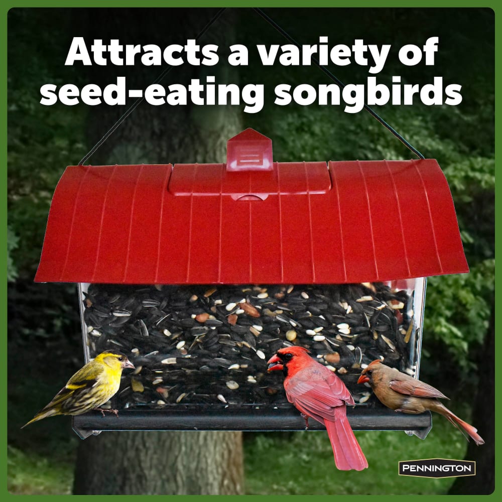dg276-pe-country-barn-bird-feeder-4lb-alt-images-06