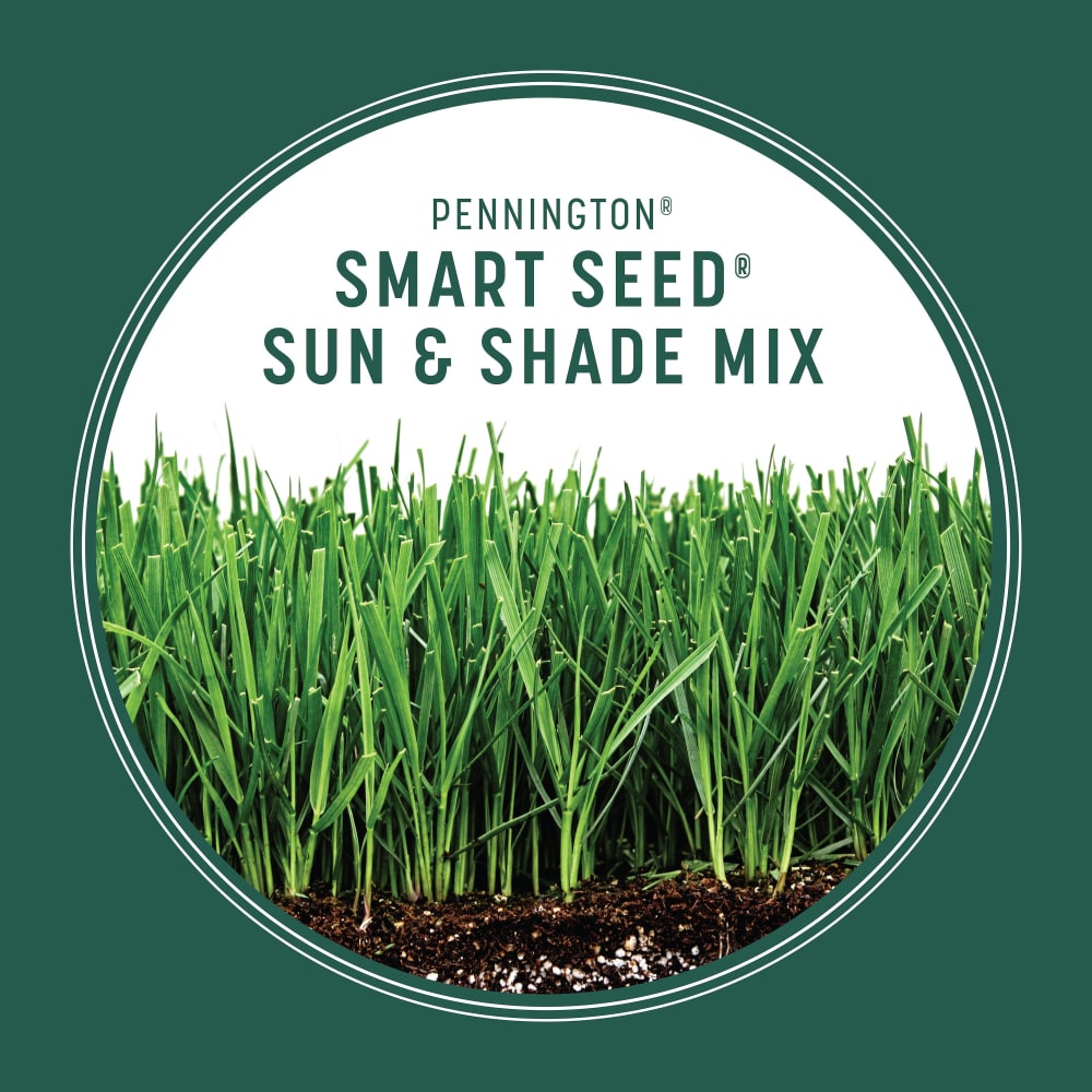 smart-seed-sun-shade-gallery-2