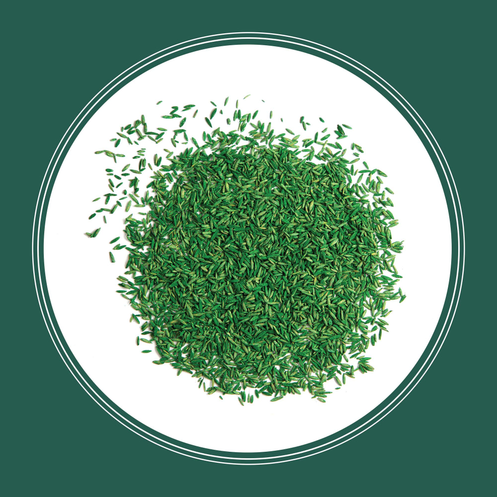 ss413-pe-smart-seed-sun-and-shade-grass-seed-and-fertilizer-mix-alt-images-12