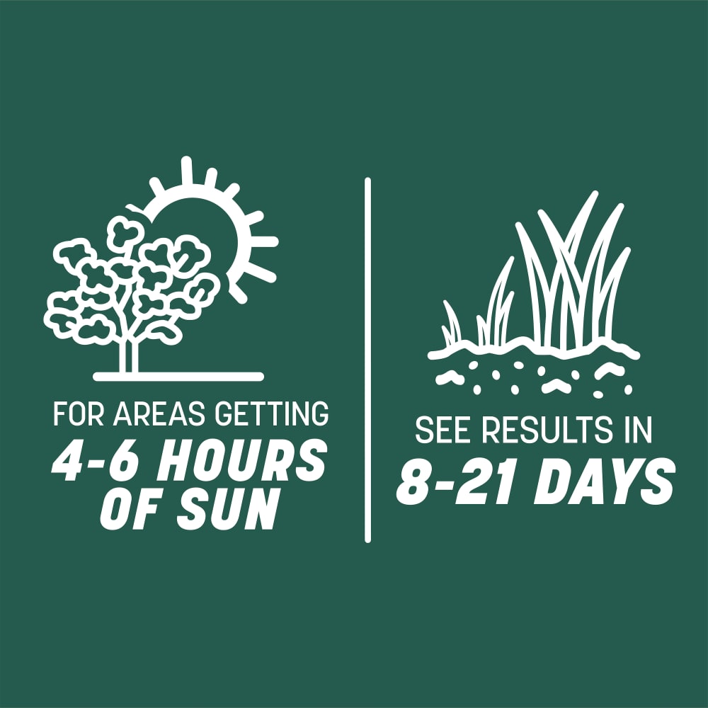ss413-pe-smart-seed-sun-and-shade-grass-seed-and-fertilizer-mix-alt-images-7