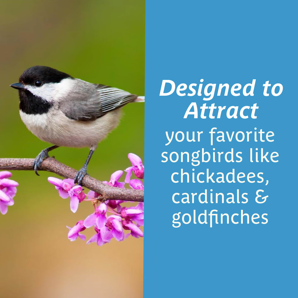 dg293-pe-wild-bird-seed-cedar-buffet-bird-feeder-40th-anniversary-alt-images-03