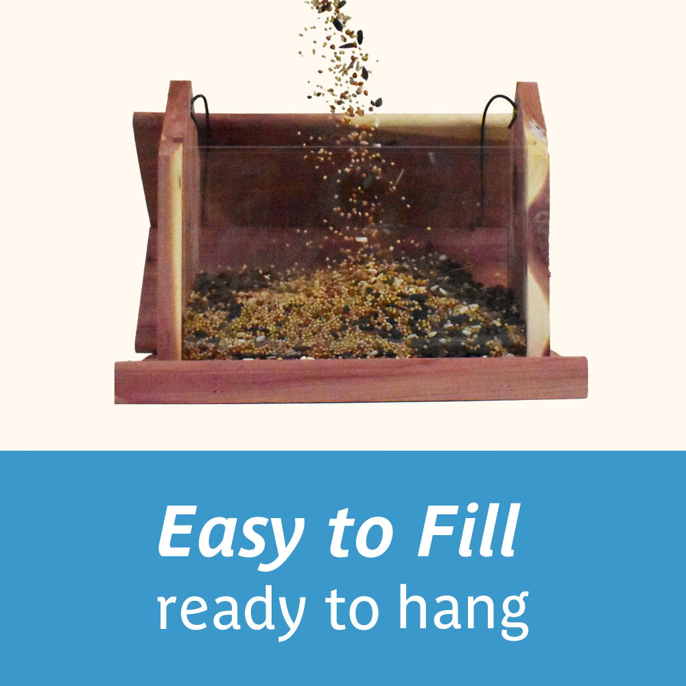 dg293-pe-wild-bird-seed-cedar-buffet-bird-feeder-40th-anniversary-alt-images-06