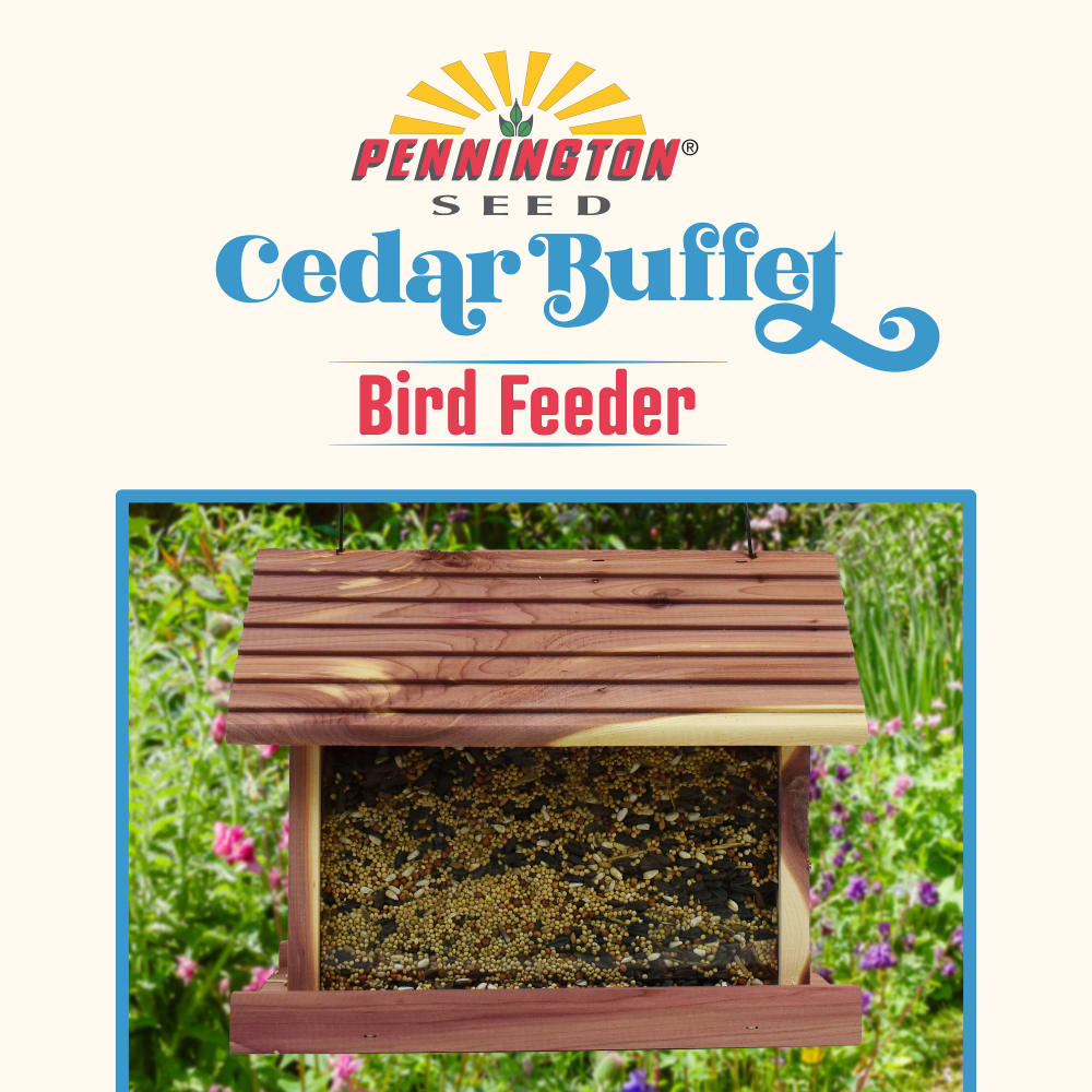 dg293-pe-wild-bird-seed-cedar-buffet-bird-feeder-40th-anniversary-alt-images-10