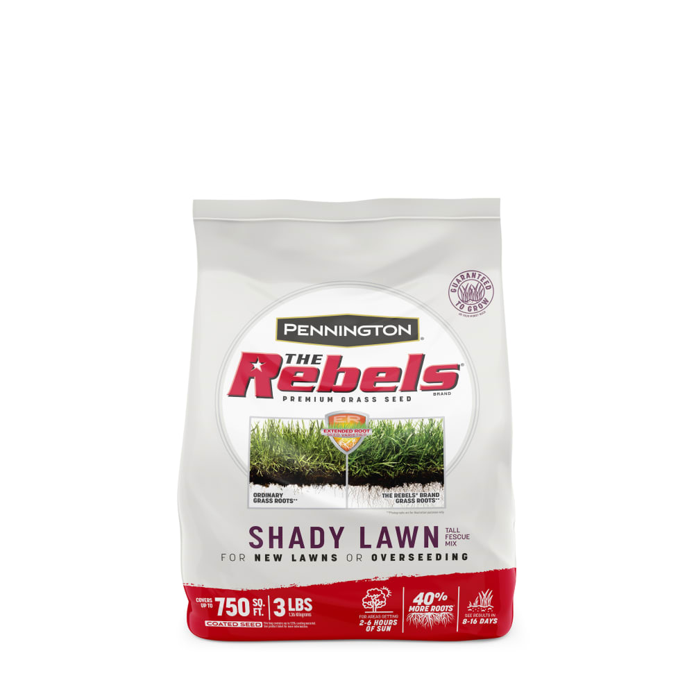 rb113-pe-rebels-shady-lawn-tall-fescue-grass-seed-mix-alt-images-1-3lb