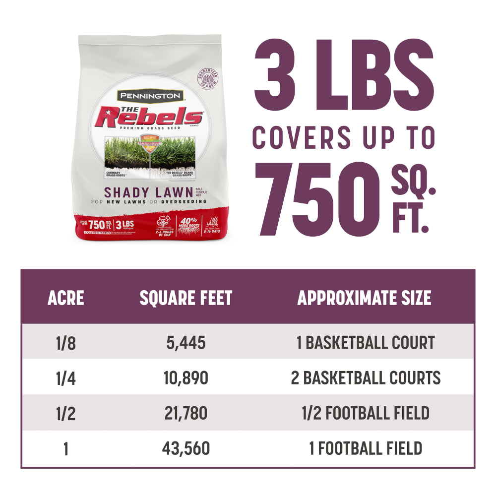rb113-pe-rebels-shady-lawn-tall-fescue-grass-seed-mix-alt-images-8-3lb