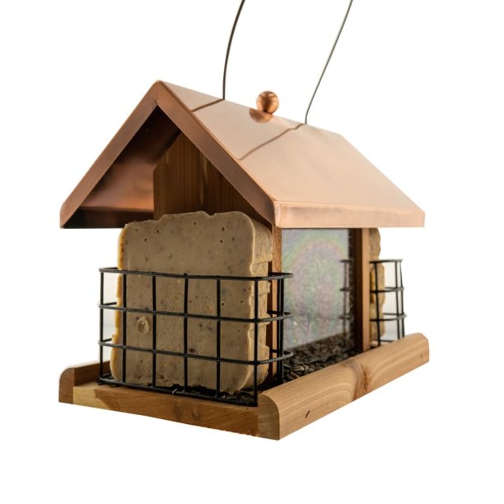 100523450-with-suet