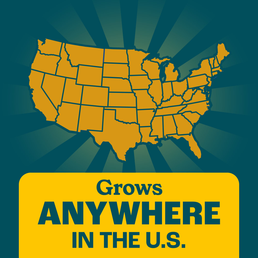 021496012124-alt05-dgpw11