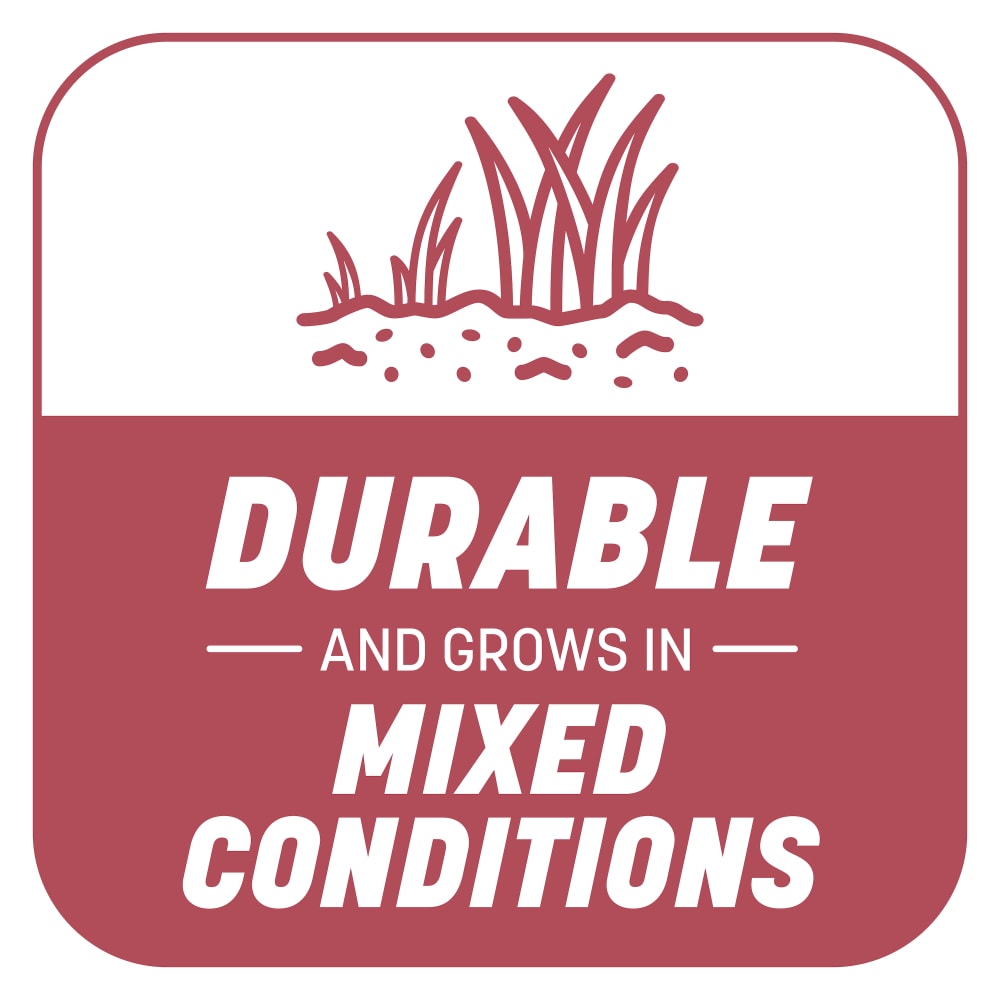dg544-pe-smart-patch-zenith-zoysia-alt-images-04