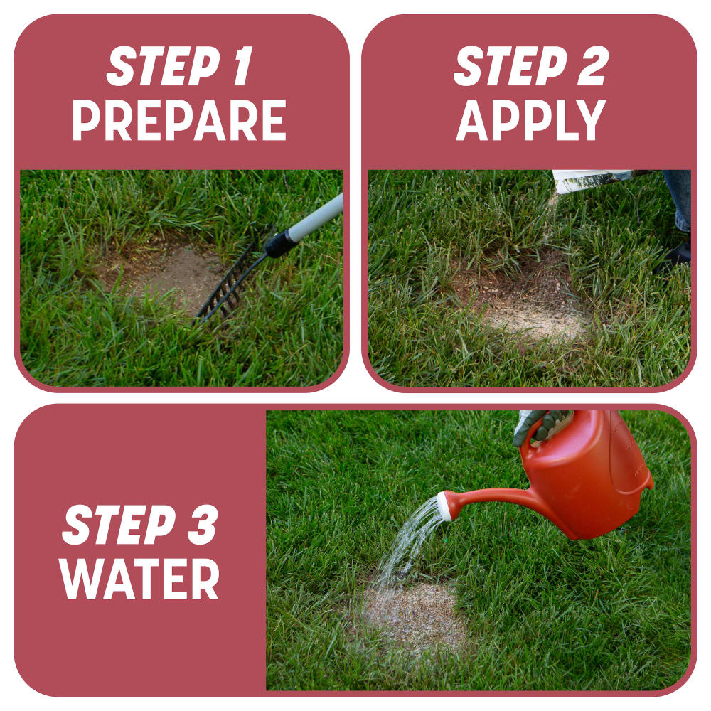 dg544-pe-smart-patch-zenith-zoysia-alt-images-05