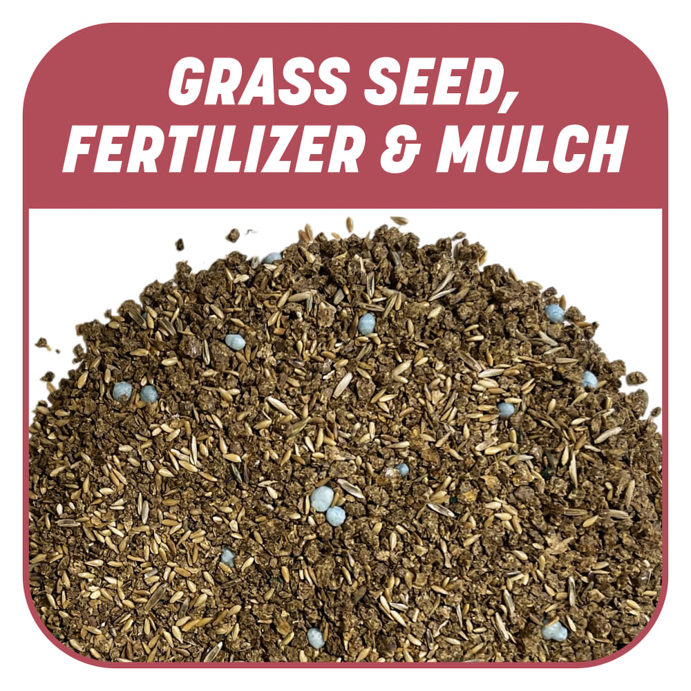dg544-pe-smart-patch-zenith-zoysia-alt-images-07