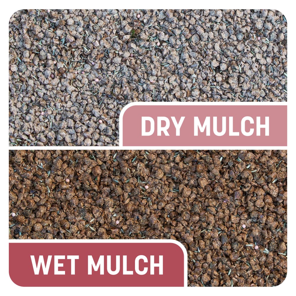 dg544-pe-smart-patch-zenith-zoysia-alt-images-08