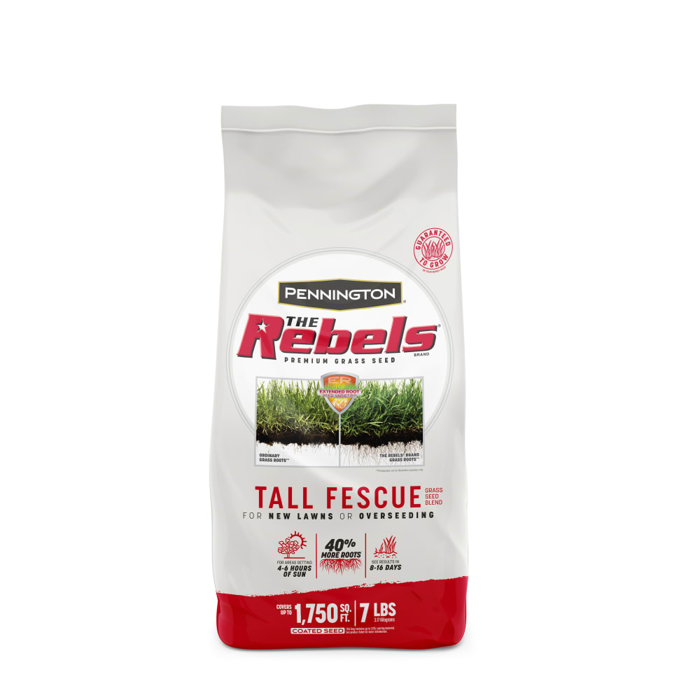 rb114-pe-rebels-tall-fescue-grass-seed-blend-alt-images-1-7lb