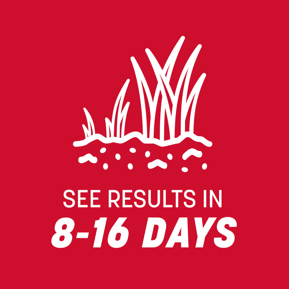 rb114-pe-rebels-tall-fescue-grass-seed-blend-alt-images-6