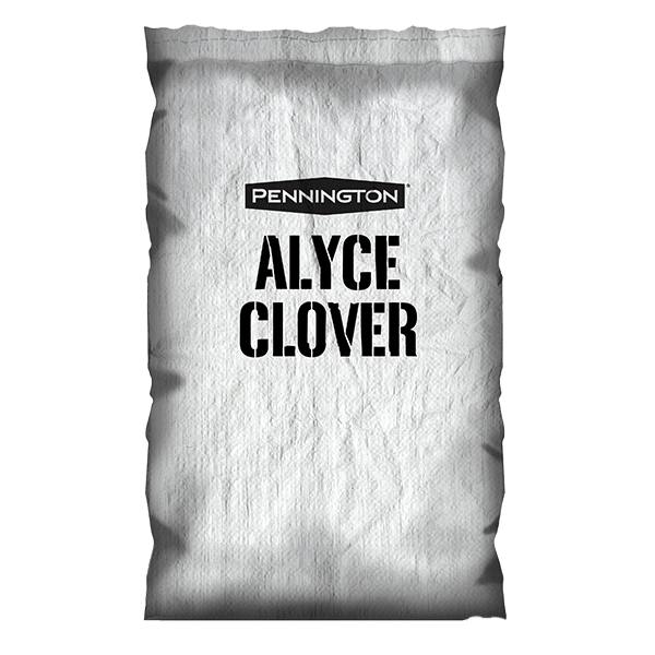 Alyce Clover