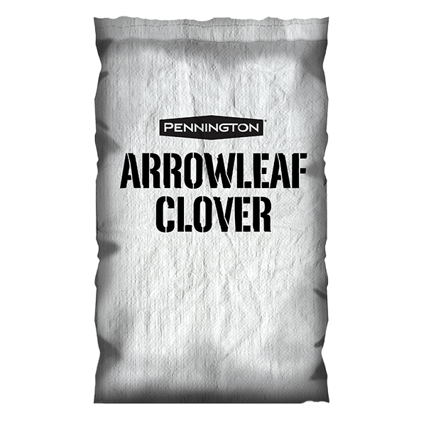 Arrowleaf Clover