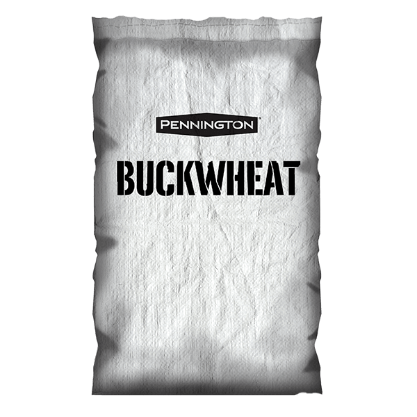 buckwheat_600x600
