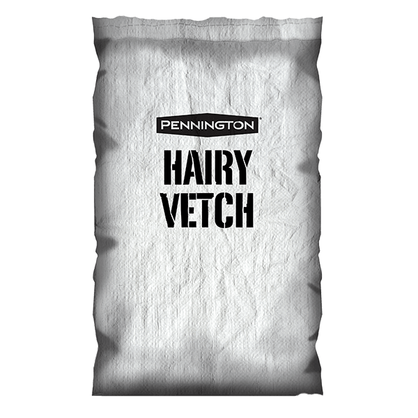 Hairy Vetch