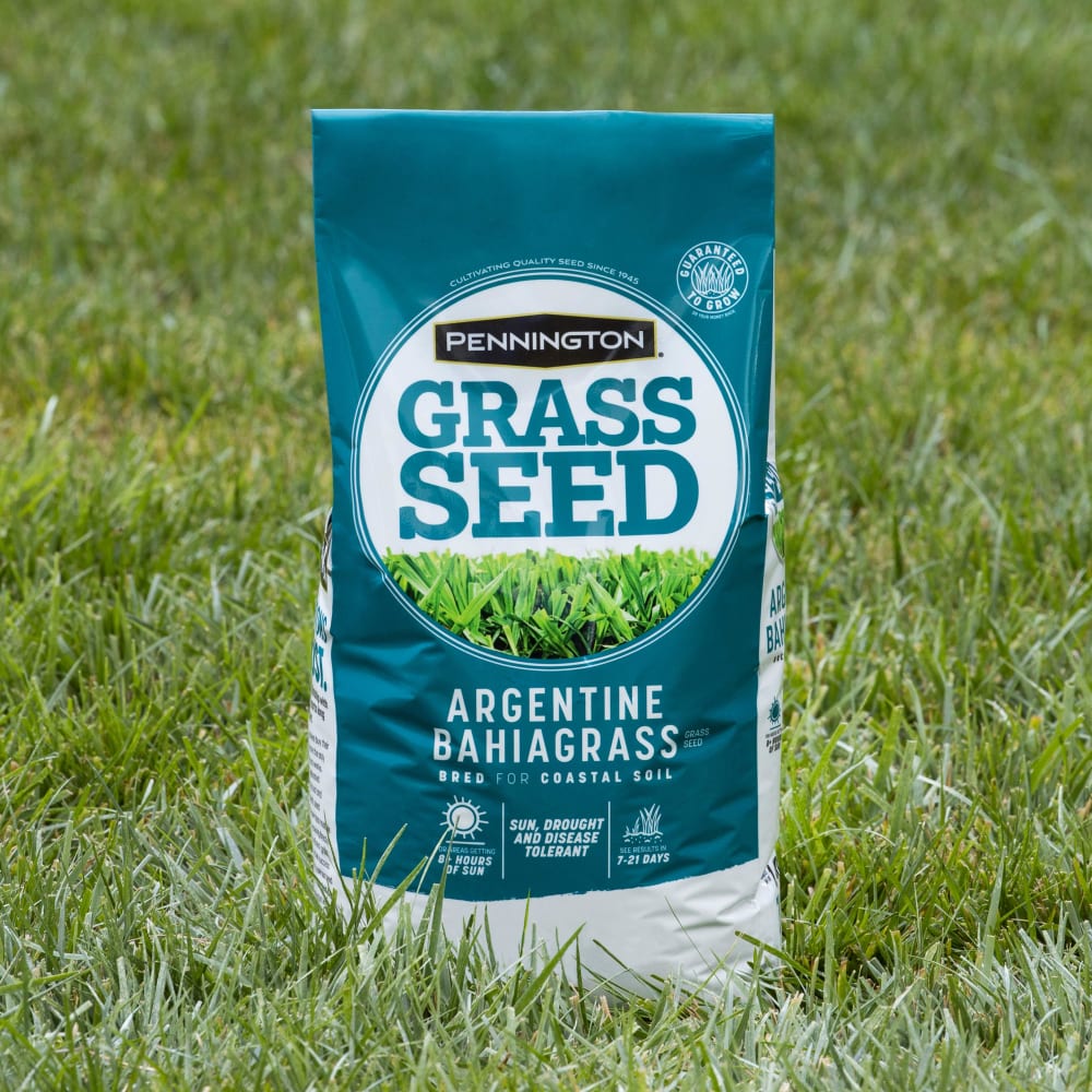 opp136-pe-argentine-bahiagrass-grass-seed-alt-images-11