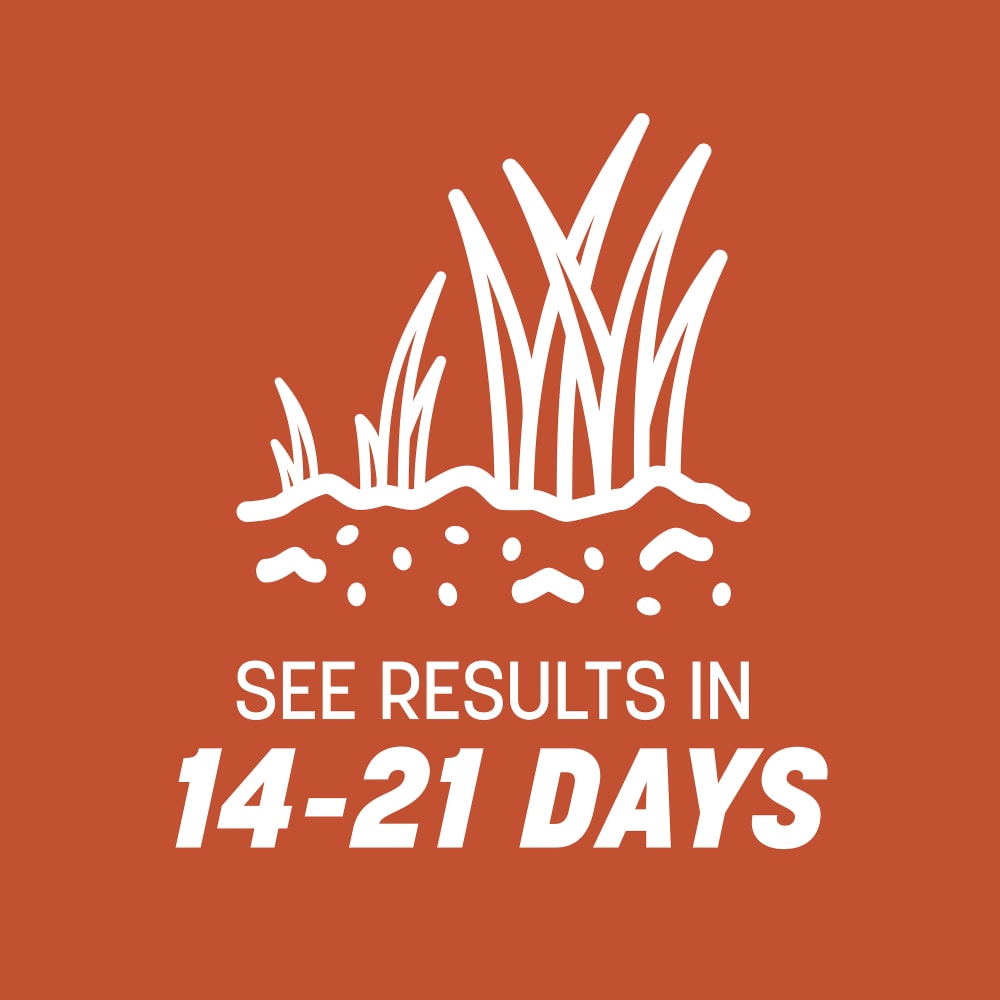 dg153-pe-bermudagrass-grass-seed-alt-images-update-10