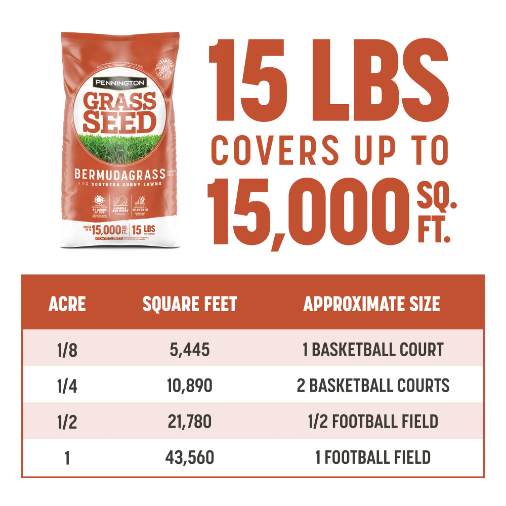 dg153-pe-bermudagrass-grass-seed-alt-images-update-14