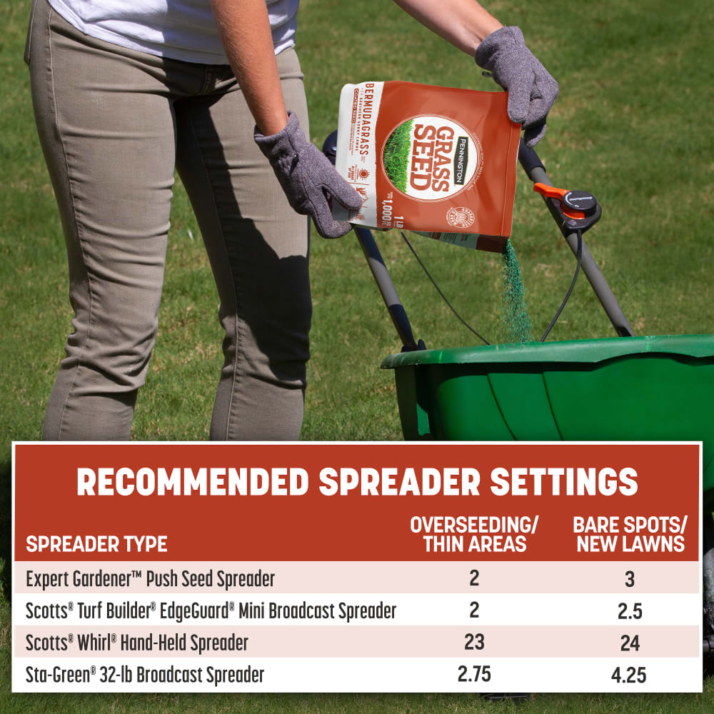 dg153-pe-bermudagrass-grass-seed-alt-images-update-18