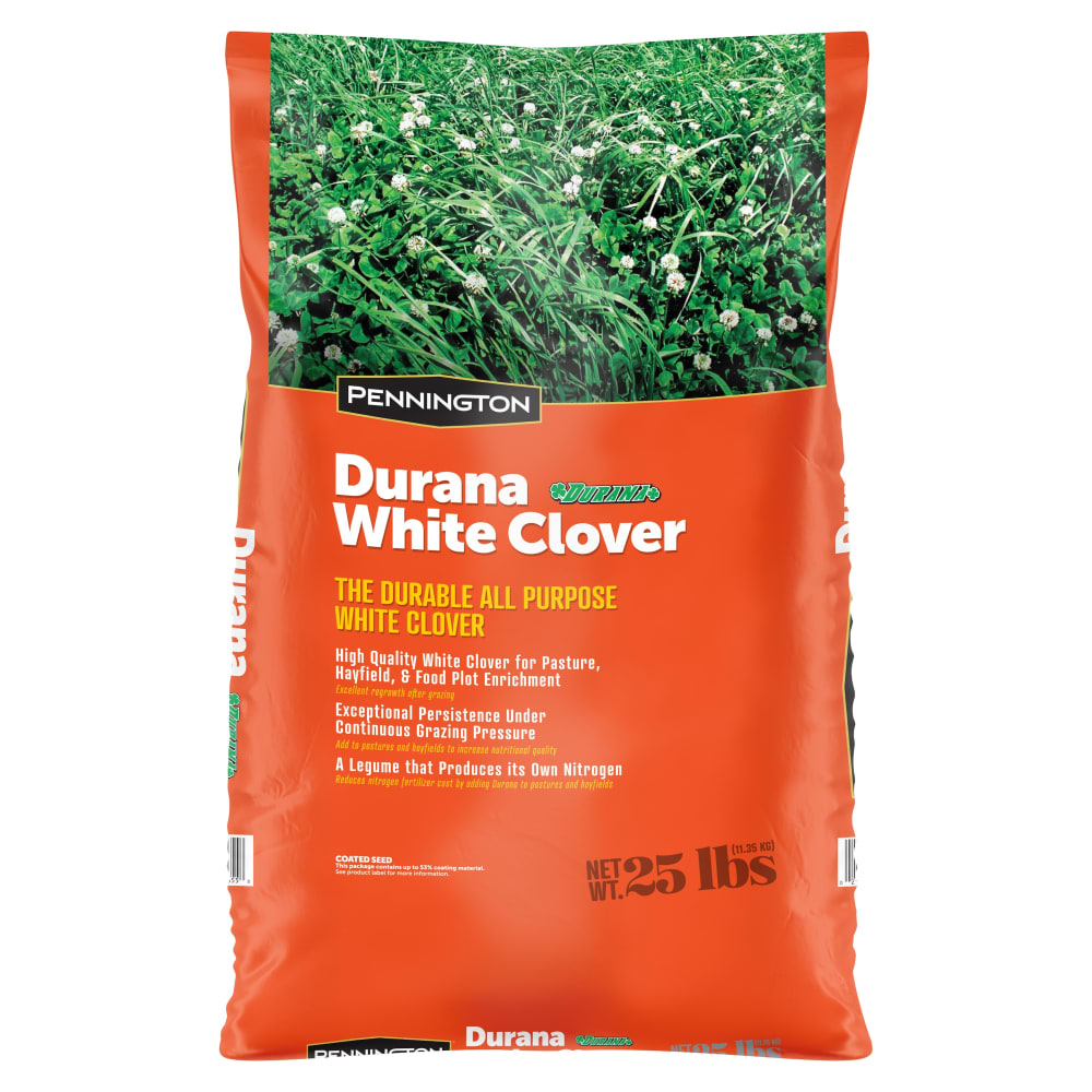 dg691100081674-pe-durana-perennial-white-clover-grass-seed-25lb-wm-marketplace-image-01