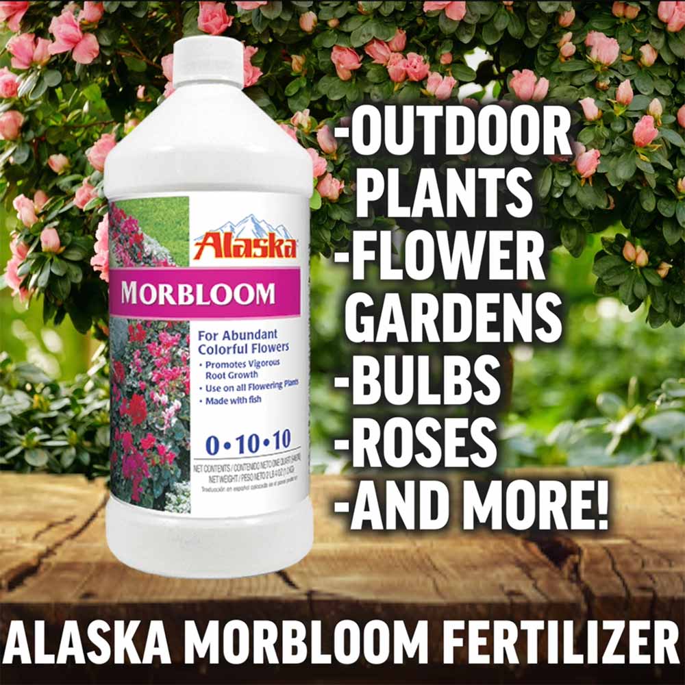 Alaska Morbloom Fertilizer 0-10-10 | Pennington