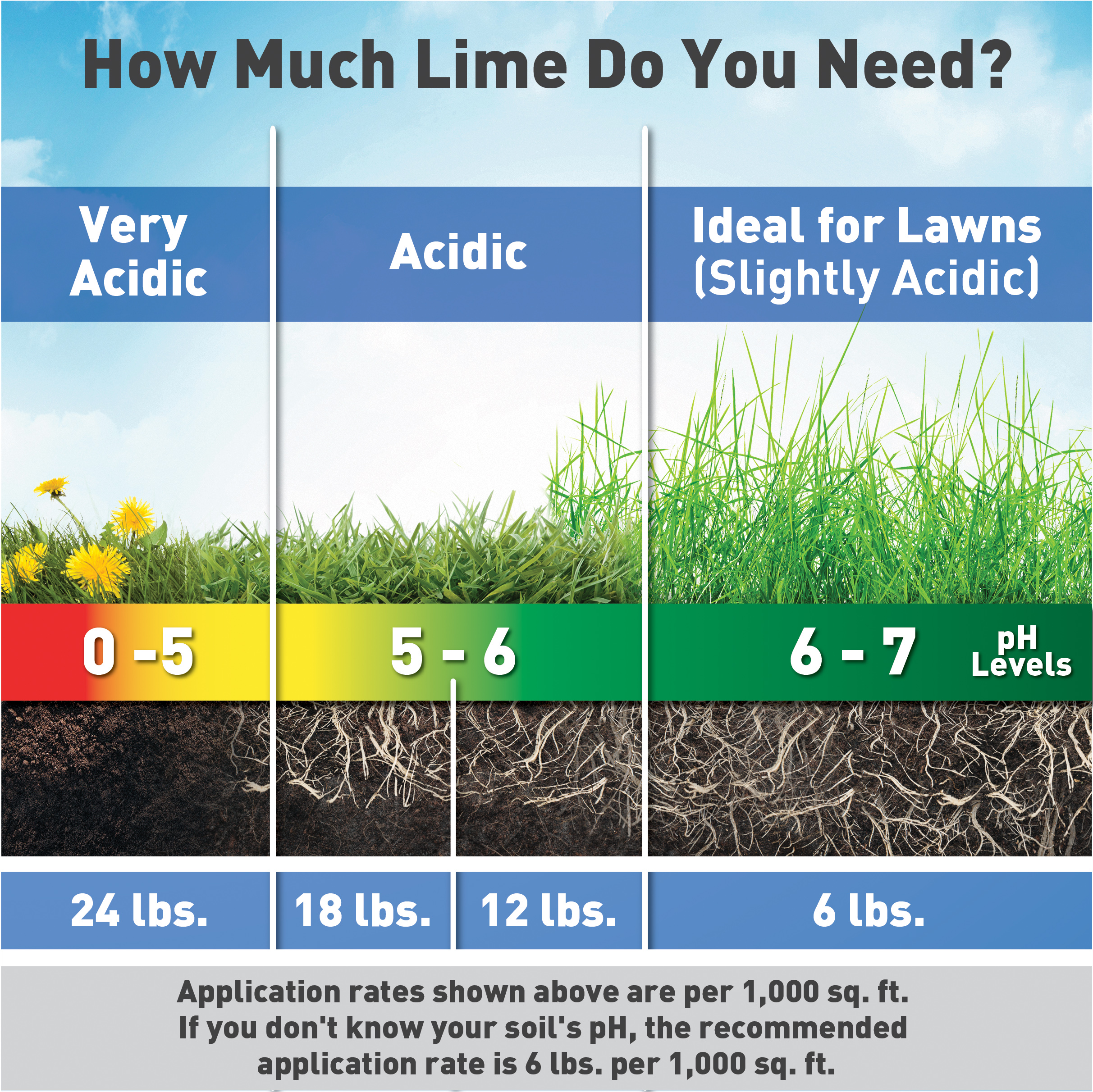 Fast Acting Lime pH scale for reference